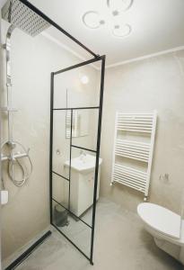 a bathroom with a glass shower and a toilet at Cozy Apartment Mureseni in Târgu-Mureş