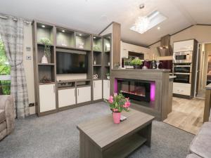 a living room with a fireplace and a tv at Feather Hill Lodge White Cross Bay, Skiptory Howe 38 in Windermere