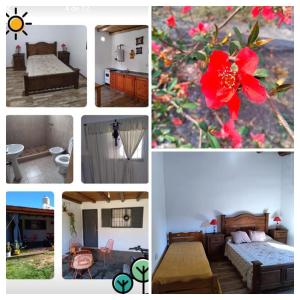 a collage of photos with a red flower in the middle at Che Sy ha Che Ru in Cosquín