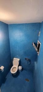 a blue bathroom with a toilet and a shower at Ighbola Ouzoud in Ouzoud