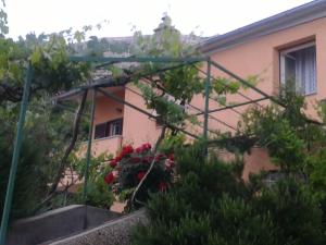 Zahrada ubytování STUDIO APARTMAN STARA BAŠKA