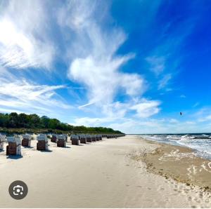 a row of beach chairs on a sandy beach at Haus am Meer mit Sauna in Koserow in Koserow
