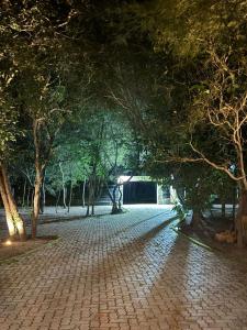a park with trees and a brick road at night at Casa na serra do Araripe in Crato