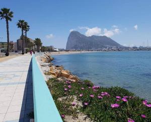 Phong cảnh thiên nhiên gần căn hộ