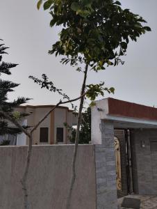 a small tree in front of a building at Agréable in Hennchir Ksar Rhaleb