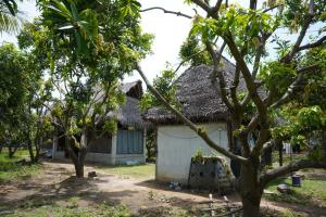 a white house with a thatched roof and trees at Uyir Together Cafe & Travellers Hostel in Auroville