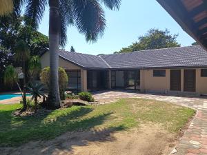 a house with a palm tree in front of it at Nqabanqaba 12 in Meer en See
