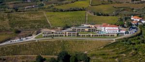 an aerial view of a mansion in a vineyard at Douro Scala in Mesão Frio