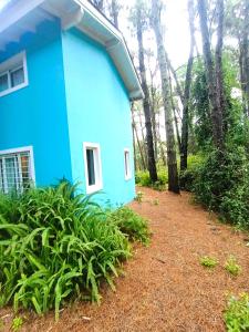 a blue house with a dirt path in front of it at Casa Noviembre en el bosque in Mar de las Pampas