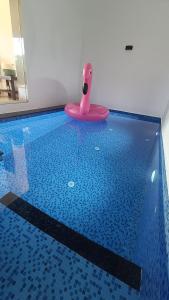 Πισίνα στο ή κοντά στο The Royal Ascot Holiday Home with private pool
