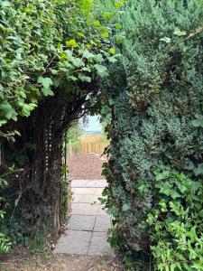 an archway of plants with a stone walk way at Quaint 200 year old cosy characterful cottage in Swanland