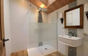 a bathroom with a sink and a mirror at Propriété De Campagne Typique in Brasparts