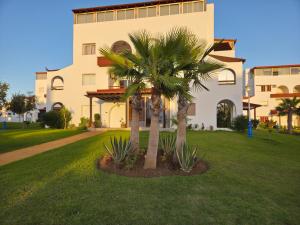 a palm tree in front of a building at Charmant appartement en résidence piscine in Cabo Negro