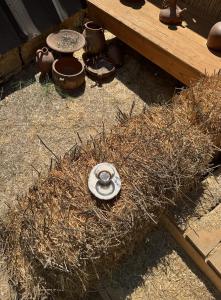 Φωτογραφία από το άλμπουμ του Oria Guesthouse σε Bekfaya +4 φωτογραφίες