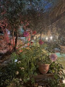 Κήπος έξω από το Oria Guesthouse