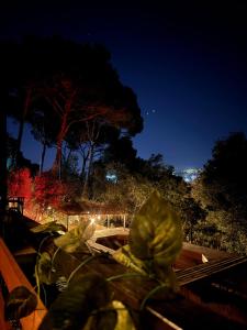 Κήπος έξω από το Oria Guesthouse