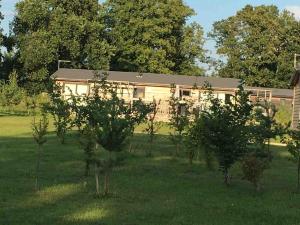 Zahrada ubytování Contemporary 3 bed luxury Spa lodge with hot tub