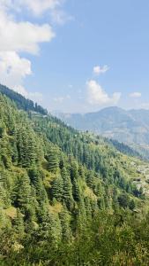 una vista aerea di una foresta di alberi di Mistymountaincottage a Shimla