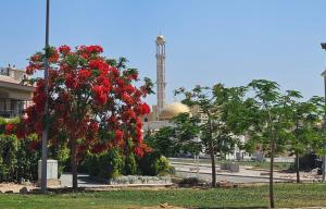 a tree with red flowers in front of a mosque at Duplex in El Sherouk next to Madinty دوبلكس بحديقة خاصة مدينة الشروق in Madīnat ash Shurūq