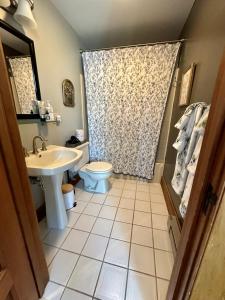 a bathroom with a sink and a toilet and a shower at The Rest Is History in Baraboo