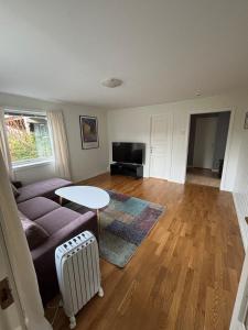 スヴォルヴァールにあるLofoten - Svolvær 1 bedroom appartmentのソファとテーブルのあるリビングルーム +17枚の写真