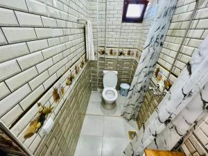 un bagno con un water e uccelli sulle pareti di calm fulki house a Ikouzza Altre 16 foto