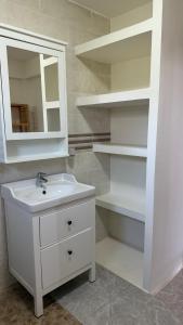 baño con lavabo, espejo y estanterías en Résidence Kazela, en Chirongui