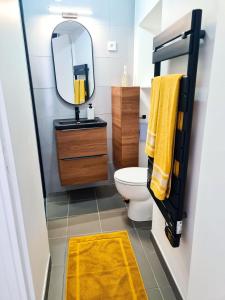 a bathroom with a toilet and a mirror at Appartement proche Disneyland et Parc Astérix in Claye-Souilly +19 photos