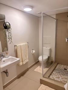 a bathroom with a toilet and a sink and a shower at The Cozy Maldives in Durban