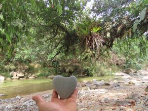a person holding a heart shaped rock in front of a river at Manacus 