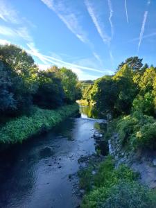 een uitzicht op een rivier vanaf een brug bij Adelin Vienna in Wenen +17 foto's