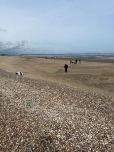 Φωτογραφία από το άλμπουμ του 90 bay view Romney sands parkdene σε New Romney