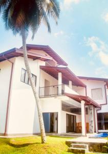 a house with two palm trees in front of it at The Coconut tree villa in Dharga Town