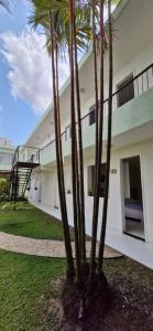 a group of palm trees in front of a building at Ecopousada Miriti in Belém