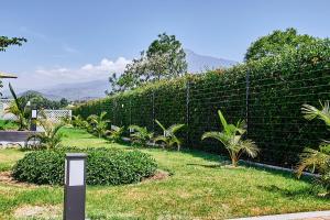 een privacyhek met palmbomen in een tuin bij Smile Apartments Arusha in Arusha