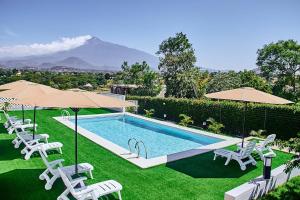 een zwembad met stoelen en parasols bij Smile Apartments Arusha in Arusha