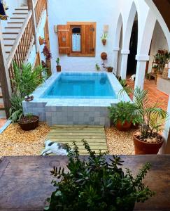 阿拉亚尔达茹达Casa Amada的植物繁茂的庭院中央的游泳池