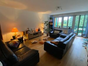 a living room with two couches and a living room withwindows at Le Petit Prince et la Rose in Wettolsheim