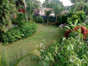 a garden with green grass and flowers and bushes at Acogedora suite con entrada independiente in Minatitlán