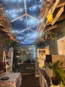 a kitchen with blue lights on the ceiling at Maple Tree Manor in Durban