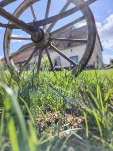ein altes Wagenrad im Gras vor einem Haus in der Unterkunft Maison Bienvenue chez Mémé in Treigny