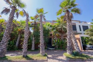 a group of palm trees in front of a building at Jack Beach Bay in Tamaris