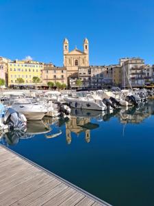 a bunch of boats are docked in a marina at Joli T1 bis - Centre ville in Bastia
