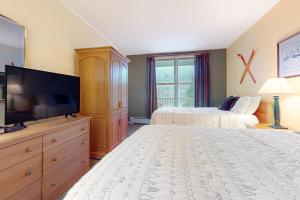 Μια τηλεόραση ή/και κέντρο ψυχαγωγίας στο Long Trail House - 230
