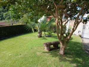 a bench sitting next to a tree in a yard at Suite 66 privativa, 11km da vila Germânica in Blumenau