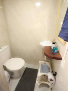 a small bathroom with a toilet and a sink at Alojamento no Centro de Concórdia acomodação inteira você terá todo o espaço só para o seu grupo de até 6 pessoas e com estacionamento para 1 carro in Concordia