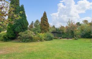 a garden with two large trees and a shed at 2 Bedroom Gorgeous Home In Græsted in Græsted +6 photos