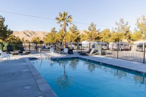 a swimming pool with chairs and a palm tree at Shasta Trailer- Vintage Charm, Modern Comfort Pool in Yucca Valley