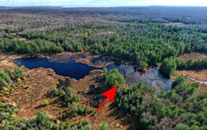 Loodusmaastik puhkemaja lähedal