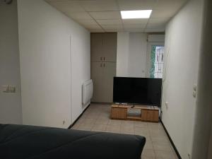 a living room with a flat screen tv in a room at Studio familial avec terrasse, proche de Metz in Rémilly